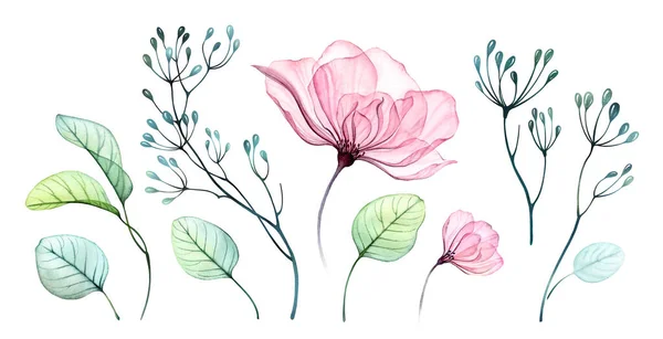 Akvarel růže květinová sada. Průhledné velké a malé květiny, abstraktní bobule, čerstvé větve izolované na bílém. Botanické malované prvky na karty, svatební design — Stock fotografie