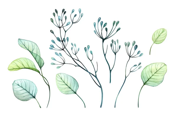 Ensemble de branches aquarelle. Grande collection d'illustrations botaniques peintes à la main isolées sur blanc. Résumé Collection transparente de feuilles et graines réalistes en vert et turquoise — Photo