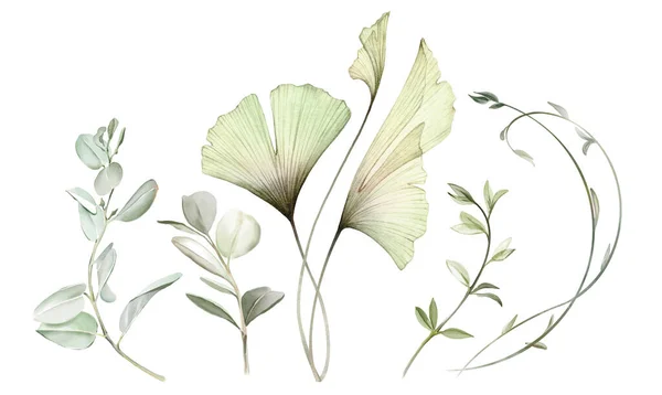 Ensemble Branches Aquarelle Herbe Courbée Ginkgo Grande Collection Illustrations Botaniques — Photo