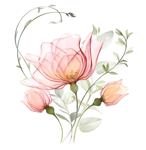 Акварельний Букет Трояндами Гілками Евкаліпта Великі Прозорі Персикові Квіти Вигнутими — стокове фото