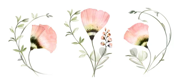 花束と水彩セット 近代的なBohoスタイルで明るい透明花 丸いユーカリの枝を持つパステル桃の色のケシ 抽象手描きイラスト — ストック写真