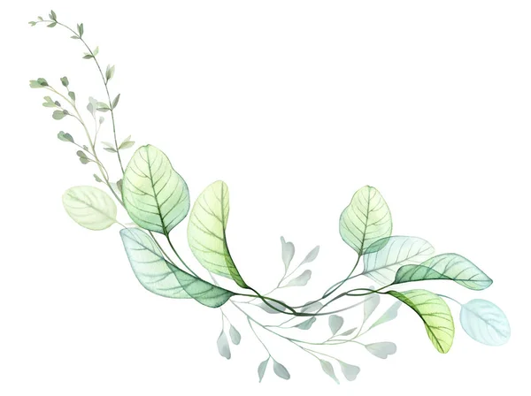 Watercolor Eucalyptus Composition Long Branches Line Isolated White Hand Drawn — Stockfoto
