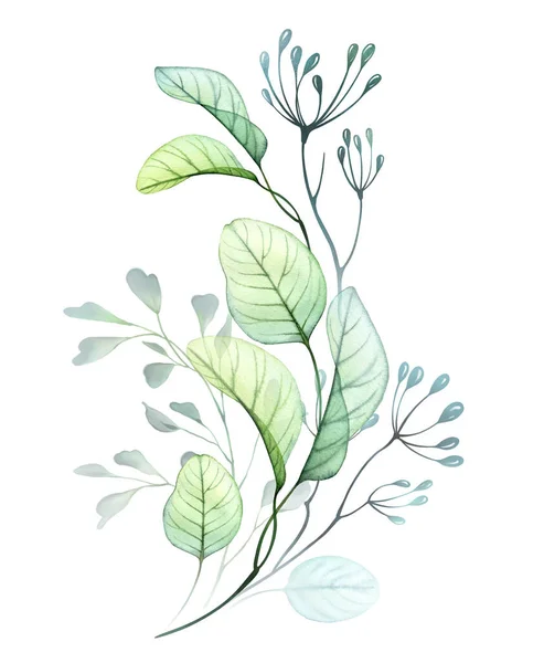 Watercolor Eucalyptus Composition Leaves Branches Bouquet Hand Drawn Botanical Illustration Stockbild
