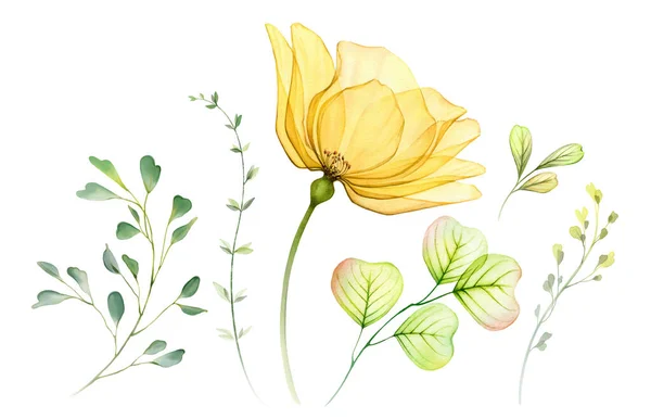Watercolor Floral Set Collection Yellow Transparent Rose Leaves Branches Hand Royaltyfria Stockfoton
