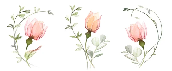 Акварельні Букети Набір Трьох Квіткових Композицій Яскраві Прозорі Троянди Абстрактному — стокове фото
