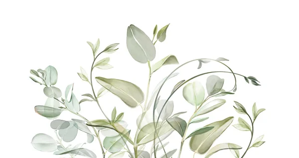 Gałęzie Akwareli Graniczą Ręcznie Malowane Zielone Realistyczne Gałęzie Eukaliptusa Kwiaciarnia Obraz Stockowy