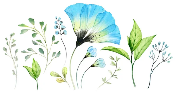 Watercolor Floral Set Collection Big Blue Anemone Transparent Flowers Berries — Stockfoto