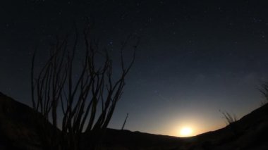 yıldızlı gece ay yükselişi timelapse