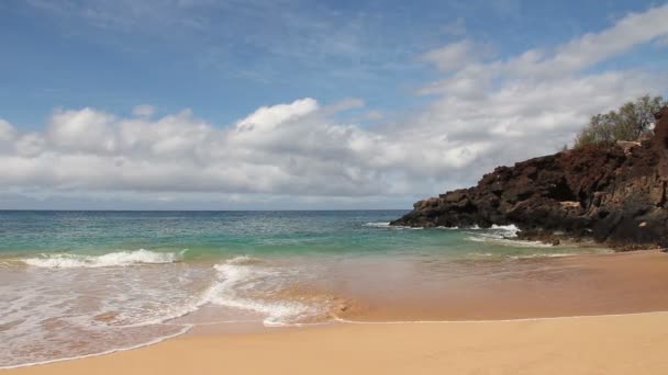 Plage isolée crique — Video