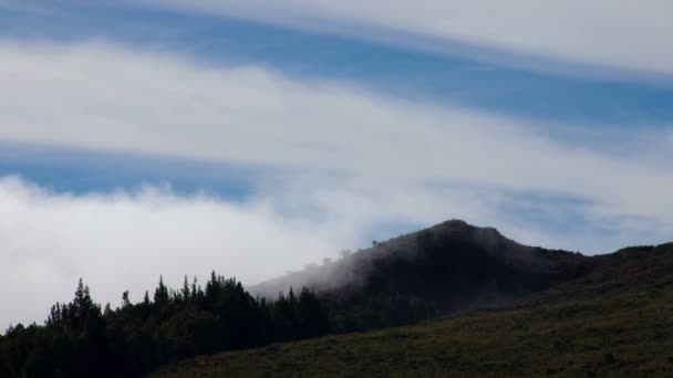 Zeitraffer der Wolkenbildung an der Baumgrenze — Stockvideo