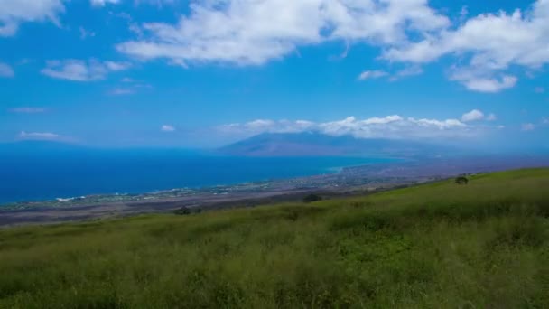 Paisagem de prado alto com vista — Vídeo de Stock