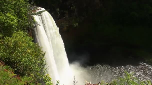 Verbazingwekkende tropische waterval — Stockvideo