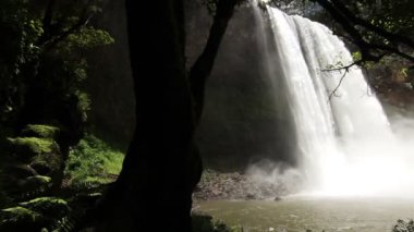 şaşırtıcı şelale pan