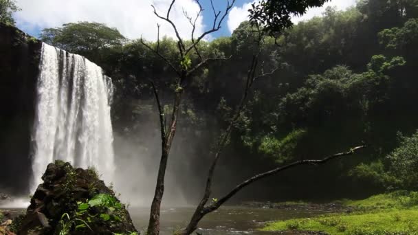 Erstaunlicher Wasserfall — Stockvideo