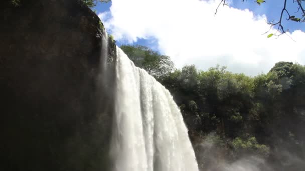Jungle waterval — Stockvideo