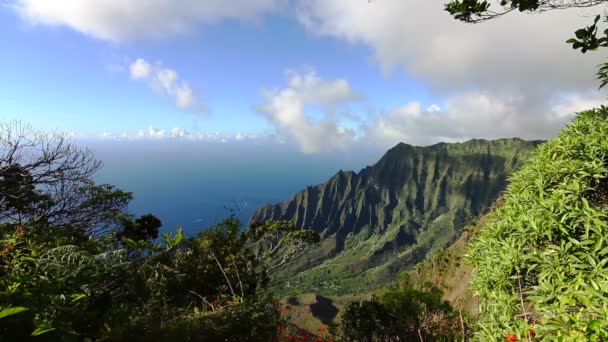 Aussichtspunkt im Kalalautal - kauai, hawaii — Stockvideo