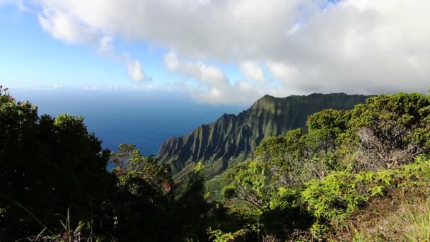 Kalalau κοιλάδα επιφυλακή - kauai, Χαβάη — Αρχείο Βίντεο