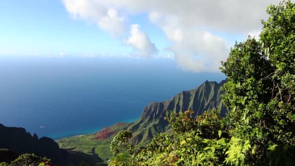 Aussichtspunkt im Kalalautal - kauai, hawaii — Stockvideo