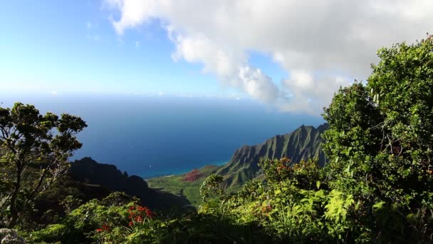 卡拉劳谷了望台-考艾岛、 夏威夷 — 图库视频影像