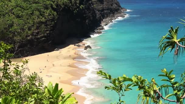 Idyllic Tropical Beach Overlook — Stock Video