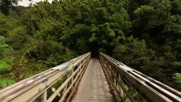 Pierwszy widok osoby, chodzenie na most — Wideo stockowe