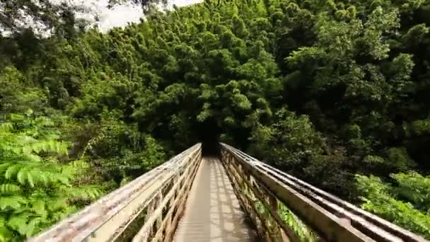 Running Across Bridge POV — Stock Video