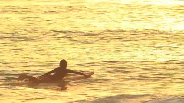 Silueta surfista chica — Vídeo de stock