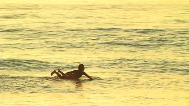 Silhouette Surfer Girl — Stock Video