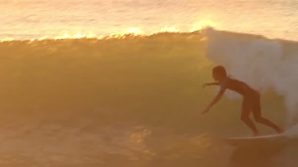 Silhouette Surfer Riding Wave At Sunset — Stock Video