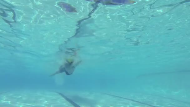 Mann schwimmt in Zeitlupe unter Wasser in Pool — Stockvideo