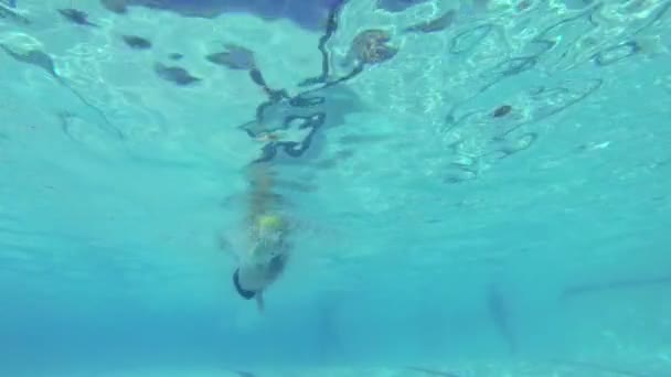 Hombre de cámara lenta nadando bajo el agua en la piscina — Vídeo de stock