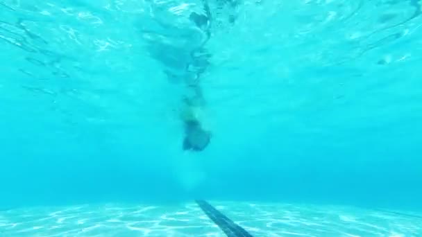 Подводный вид человека, плывущего в бассейне — стоковое видео