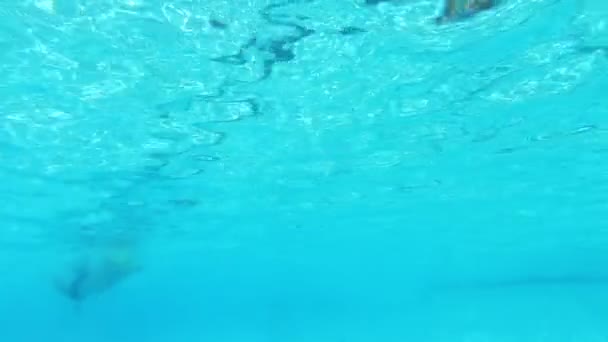 Unterwasser-Ansicht eines Mannes, der im Pool schwimmt — Stockvideo