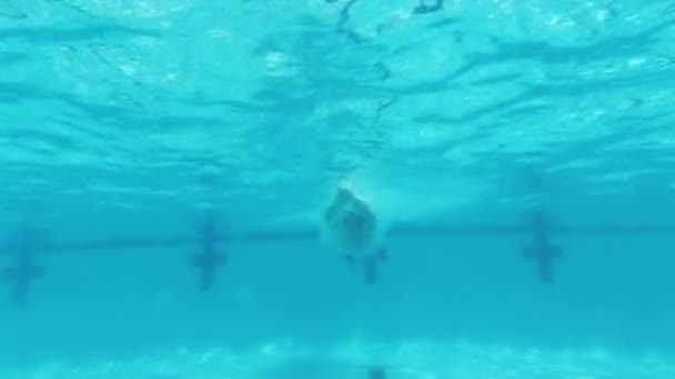 Unterwasser-Ansicht eines Mannes, der im Pool schwimmt — Stockvideo