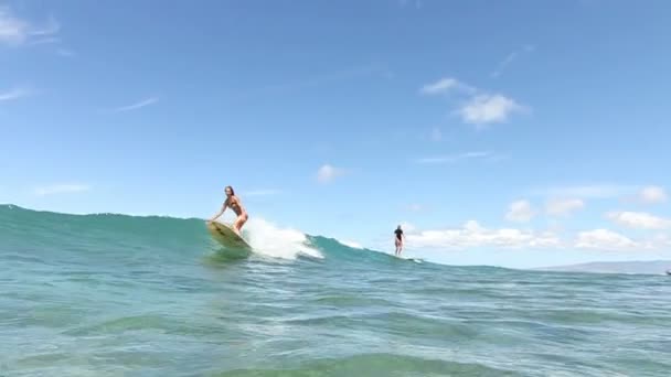 Surfer Girl Surfing Ocean Wave — Stock Video