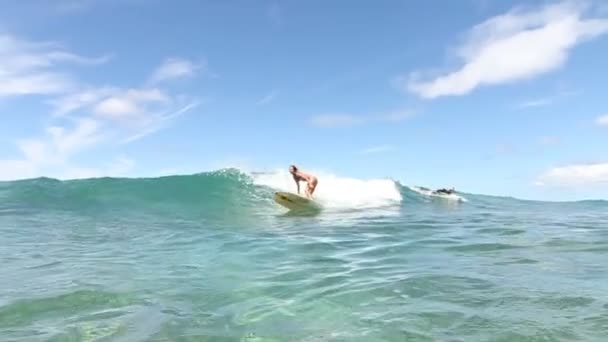 Surfer dívka surfování oceánu vlnu — Stock video