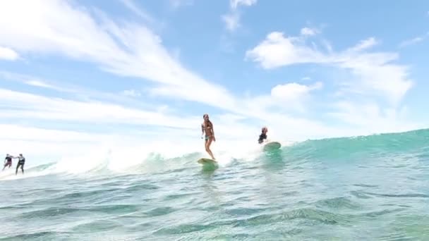 Surfer Girl Surfing Ocean Wave — Stock Video