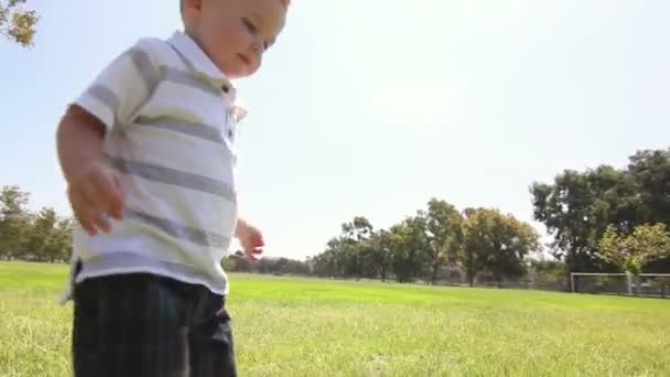 Young cute baby boy using phone touch screen at park. — Stock Video