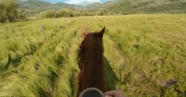 First Person Point View Pov Woman Horseback Riding Country Meadow — Videoclip de stoc