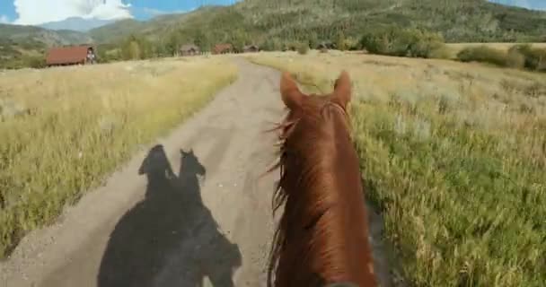 First Person Point View Pov Woman Horseback Riding Country Meadow — Vídeos de Stock