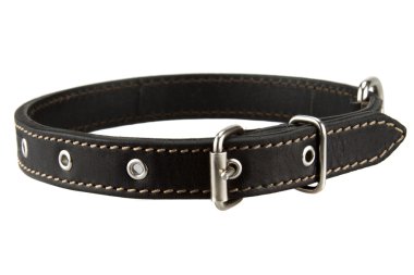 black leather dog collar clipart