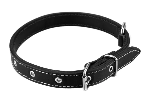 Black leather dog collar — Stock Photo, Image
