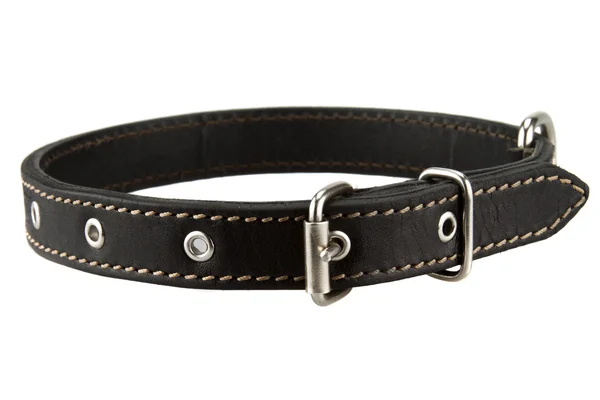 Black leather dog collar — Stock Photo, Image