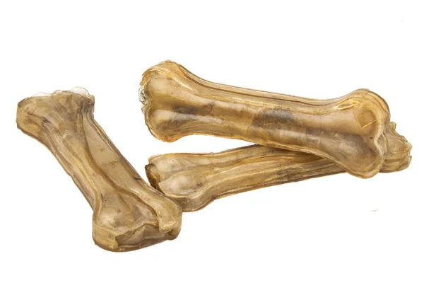 개 뼈 — 스톡 사진