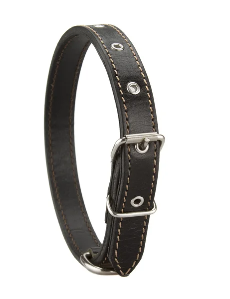 Collier en cuir noir pour chien — Photo