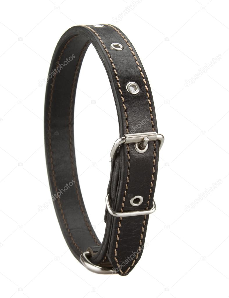 black leather dog collar