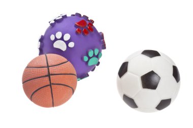 köpek toys