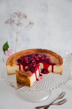 Vejetaryen peynirli kek tofu, kaju fıstığı, hindistan cevizi sütü ve kirazla servis ediliyor. Vejetaryen tatlı, diyet ve beslenme, aperatif, süper yiyecek konsepti tekst için yer..