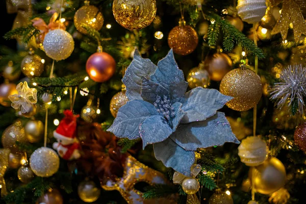 Fundo escuro borrado com flocos de neve e flor de poinsettia de Natal com brilhos em um ramo. Bokeh amarelo. Foco suave. — Fotografia de Stock