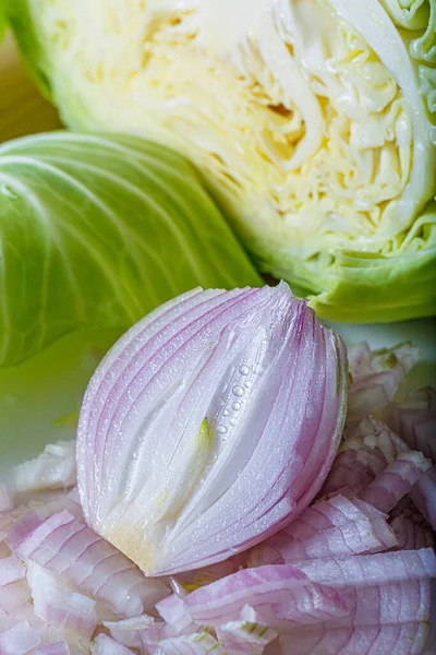 Sliced fresh raw white cabbage and onion. Vegetarian healthy tasty food. Chopped vegetables. Shallow depth of field. — Foto de Stock